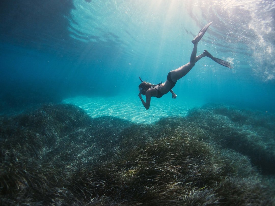 Photo Snorkeling