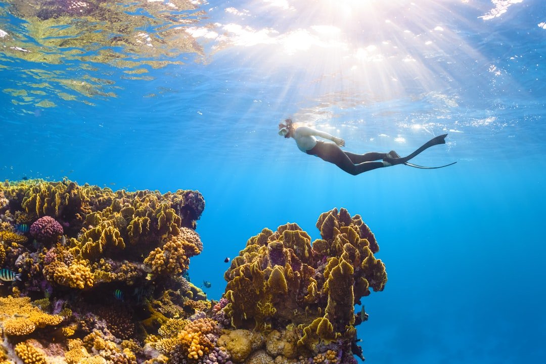 Photo Underwater exploration